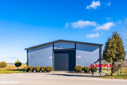 Pieniężna, Darzlubie, Puck, pucki, pomorskie