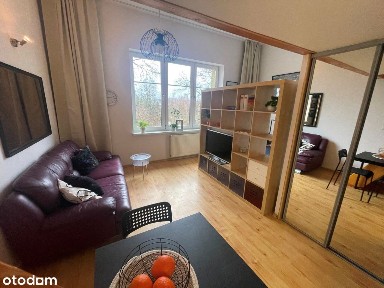 Kawalerka z antresolą, centrum