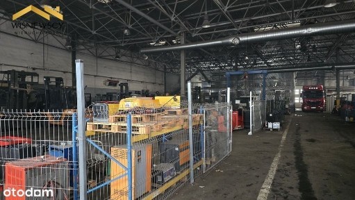 Hala typu Berlin ~1274 m² Elbląg przy S7