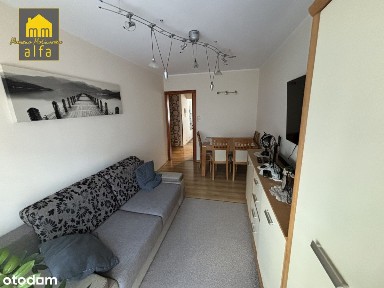 Mieszkanie na wynajem I piętro, osiedl. Lotnisko.