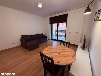 Przytulne studio w centrum do wynajęcia