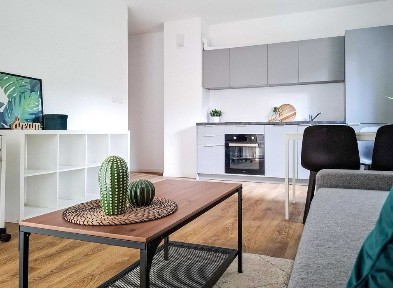 42 m2 | zwierzaki ok | bez prowizji | WIFI w cenie| umowa od 6 m-cy | RABAT -50% na 1 miesiąc