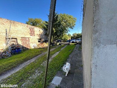 Syndyk sprzeda: nieruchomość zabudowaną, Trzebcz Szlachecki