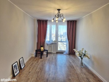 Piękna kawalerka na Winogradach