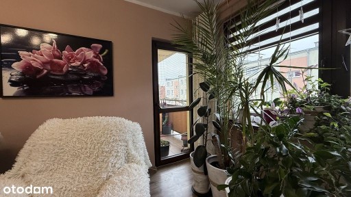 Mieszkanie 3 pokojowe w centrum Stargardu