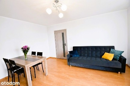 Przestronne, 2-pokojowe mieszkanie do wynajęcia!