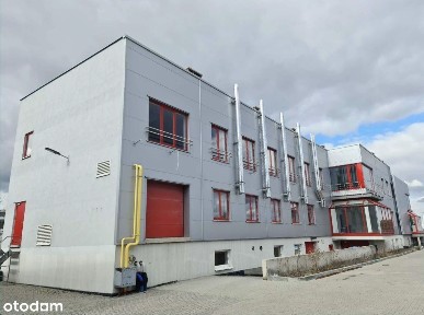 Tarnowo Podgórne, poznański, wielkopolskie