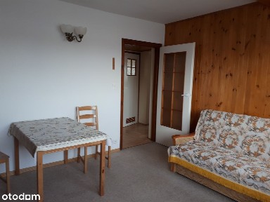 Wynajmę bezp. 1-pokojowe mieszkanie w Piastowie