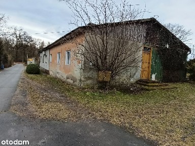 Mieszkanie 2-pokojowe z ogrodem i garażem