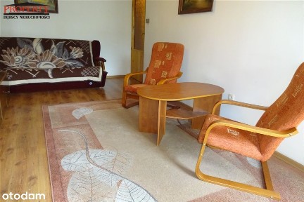 Koziny, Polesie, Łódź, łódzkie