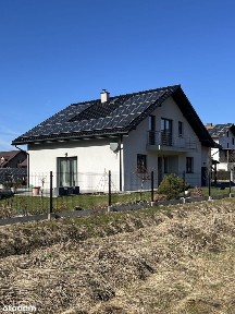 asn917306