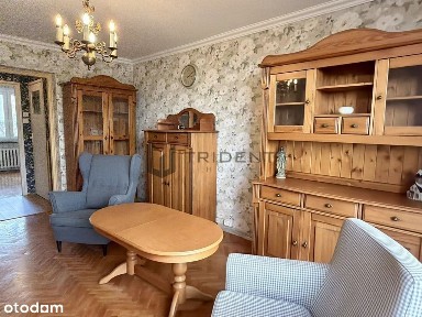 2 pokoje - 44 m² - rozkładowe - balkon - piwnica