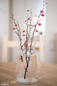 ul. Jana Kilińskiego, Górniak, Górna, Łódź, łódzkie