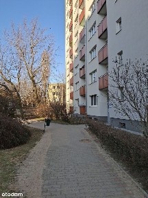 Bezpośrednio kawalerka do remontu super pod najem obok uczelni