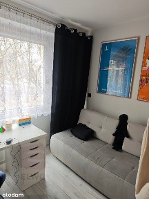 Zgoda, Pruszków, pruszkowski, mazowieckie