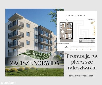 ul. Cypriana Kamila Norwida, Kudowa-Zdrój, kłodzki, dolnośląskie