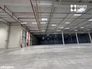 Nowoczesny magazyn we Wrocławiu/ 2020 mkw + 150 mk