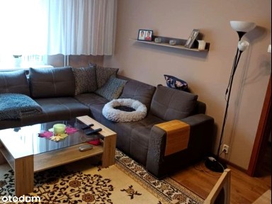 Mieszkanie, 3 pokoje, Rządz, 60m