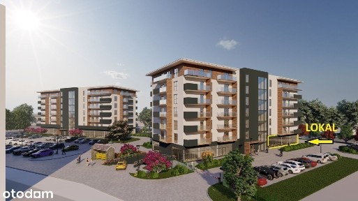 Lokal użytkowy, 350 m², Kutno