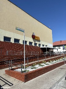 Drzewica, opoczyński, łódzkie