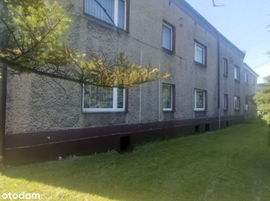 Dom, 420 m², Wieszowa