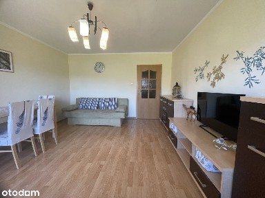 ul. Sępia, Pustki Cisowskie, Gdynia, pomorskie