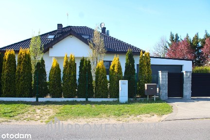 Lednogóra, Łubowo, gnieźnieński, wielkopolskie