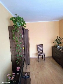 Piastów, pruszkowski, mazowieckie