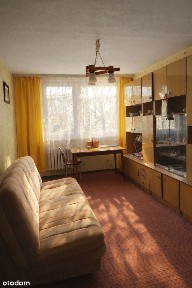 Oleśnica, oleśnicki, dolnośląskie