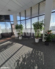 Loftowa powierzchnia biurowa na Powiślu z tarasem