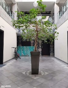 ul. Ogrody, Leszno, wielkopolskie