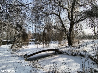 Rogoż, Wisznia Mała, trzebnicki, dolnośląskie
