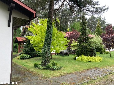 Klwatka Królewska, Gózd, radomski, mazowieckie