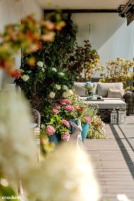 Wilanów | Słoneczny penthouse z dużym tarasem