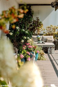 Wilanów| Elegancki penthouse ze słonecznym tarasem