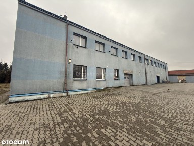 Lokal handlowo-usługowy na wynajem, Będzin1