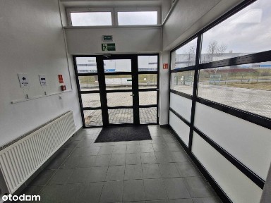 Do wynajęcia powierzchnia 220m2 w biurowcu na Ksse