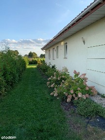 Wilkowa Wieś, Leszno, warszawski zachodni, mazowieckie