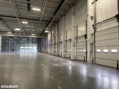 Nowoczesny magazyn Okęcie 530 mkw