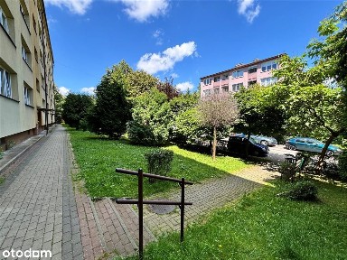 Parter z możliwościami