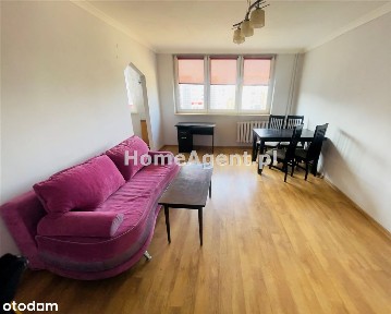 Pogoń.Kawalerka czeka na wyjątkowego najemcę