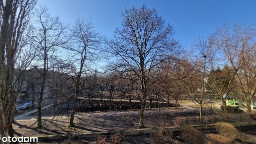 ul. Zwycięstwa, Chorzów Batory, Chorzów, śląskie