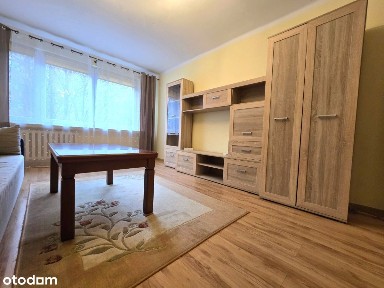 Atrakcyjne mieszkanie na Olszy