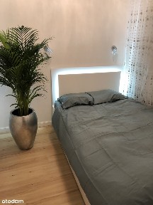 wynajmę mieszkanie 58 m² w Katowicach dz. Dolina 3 Stawów/Śródmieście