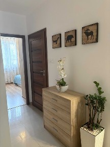 3 pokoje | 47 m² | parter | balkon | piwnica | Górczyn