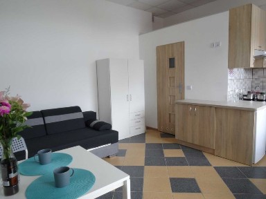 Apartament do wynajęcia w centrum, mieszkanie. Również Lokal Usługowy.