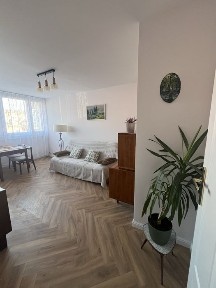 Mieszkanie po generalnym remoncie 2 pokoje