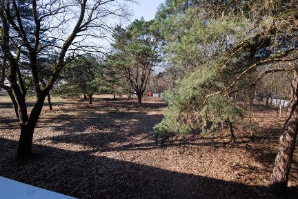 Stare Bemowo | 56 m² | 2 pokoje | 1 piętro | 2 piwnice | przy lesie