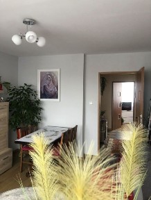 Piekne mieszkanie do wynajecia