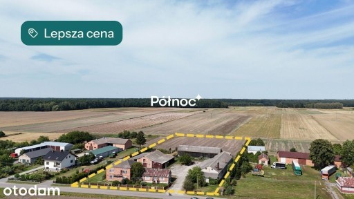 Duże siedlisko w Mołożowie